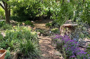 Garden path with trees and flowers in the Adelaide Hills | Rebecca Cordingley Jewellery