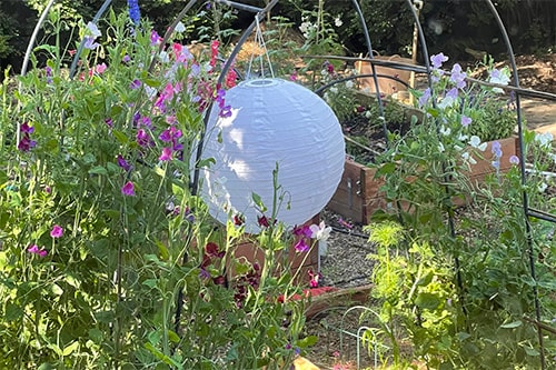 Flower beds and a paper lantern in a garden in the Adelaide Hills | Rebecca Cordingley Jewellery